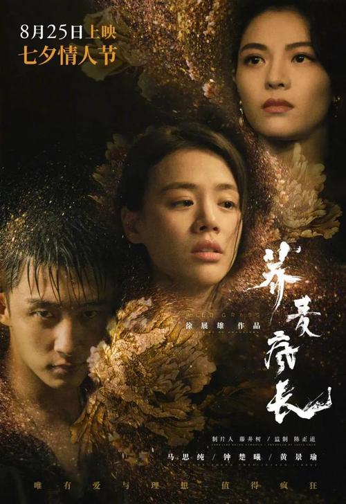 买假日本护照电子版